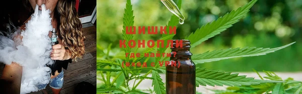 ГАЛЛЮЦИНОГЕННЫЕ ГРИБЫ Лихославль