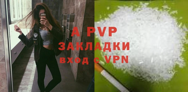 PSILOCYBIN Лиски