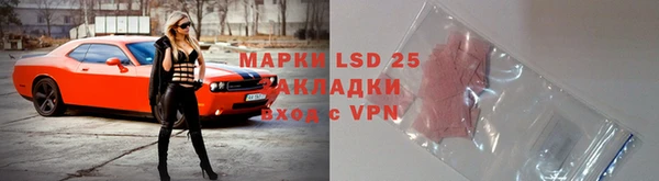 PSILOCYBIN Лиски