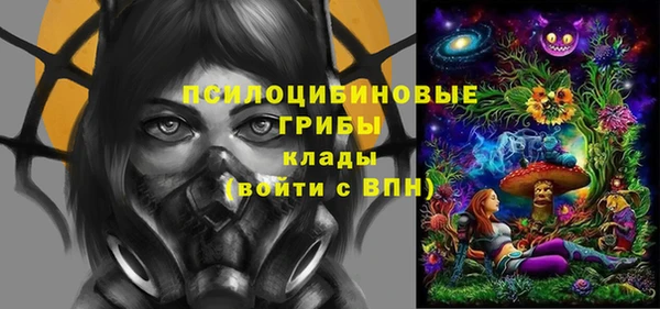 PSILOCYBIN Лиски