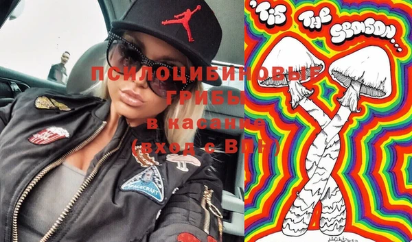 ГАЛЛЮЦИНОГЕННЫЕ ГРИБЫ Лихославль