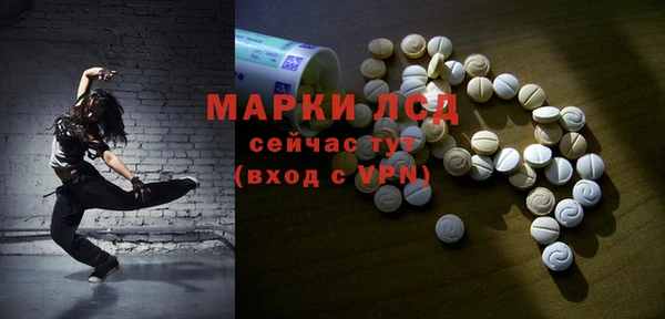 ГАЛЛЮЦИНОГЕННЫЕ ГРИБЫ Лихославль