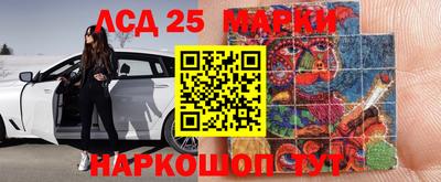 Альфа ПВП Кандалакша