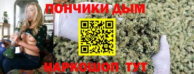 Альфа ПВП Кандалакша