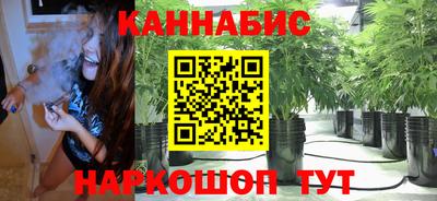 Альфа ПВП Кандалакша