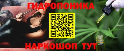 Альфа ПВП Кандалакша
