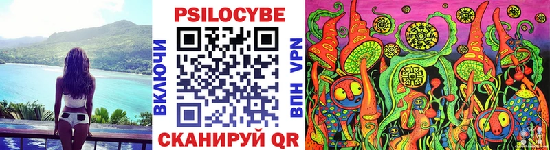 где найти   Ртищево  Галлюциногенные грибы мухоморы 